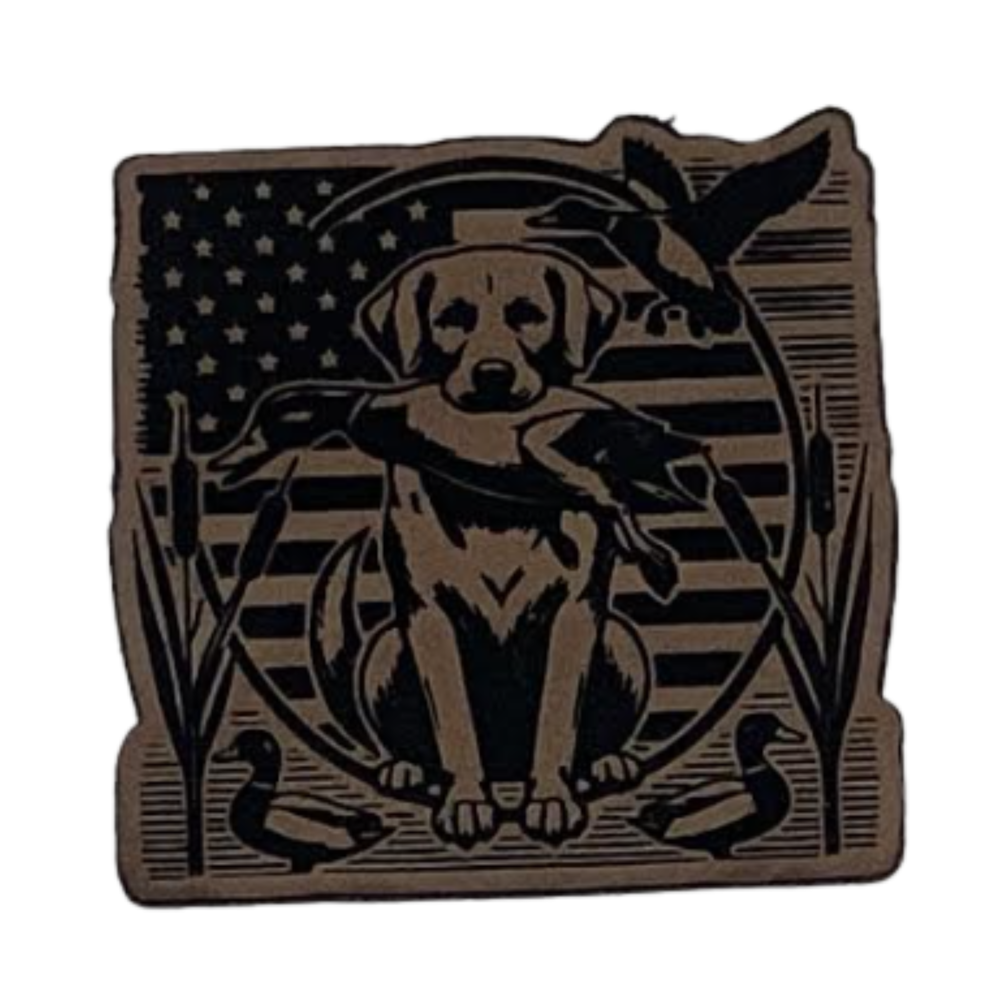 Hunting/Fishing duck dog.brown