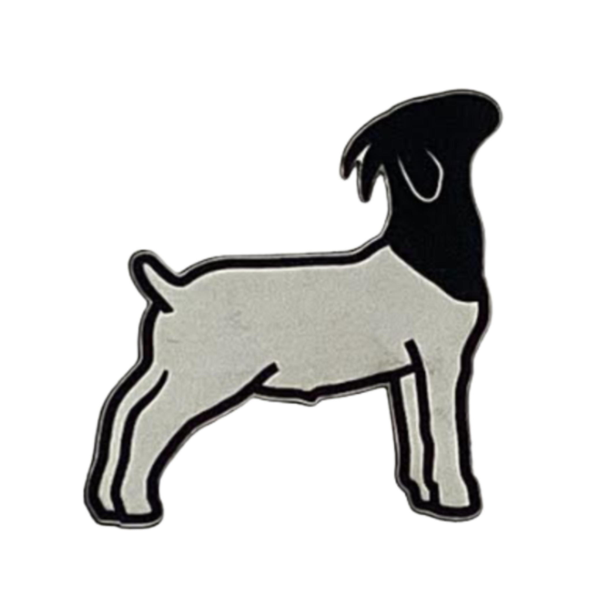 Farm show goat.white